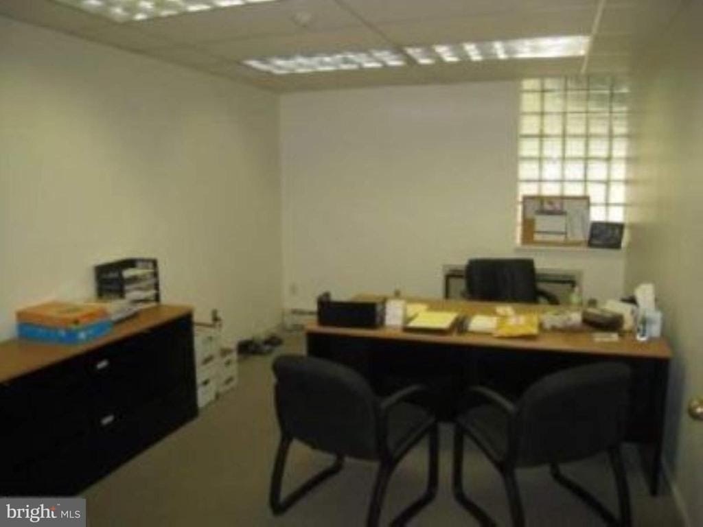 Picture 7