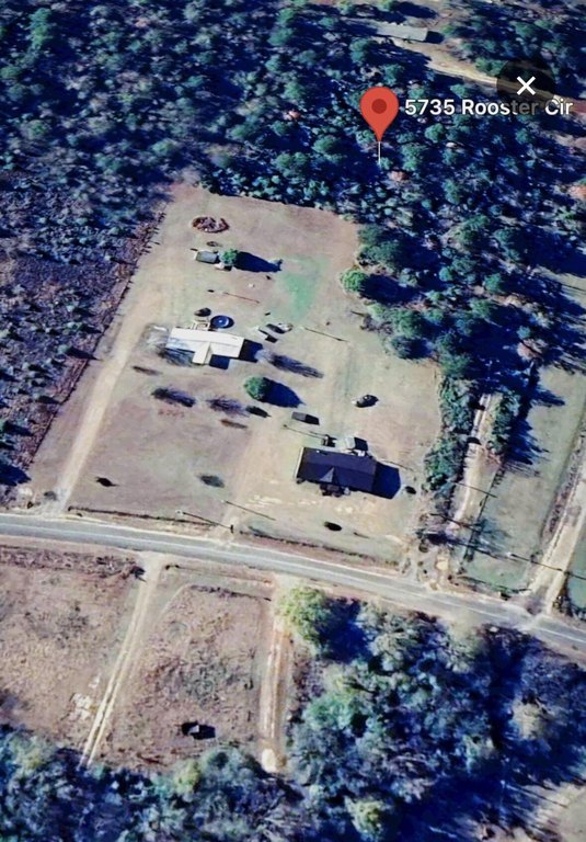 Picture 3