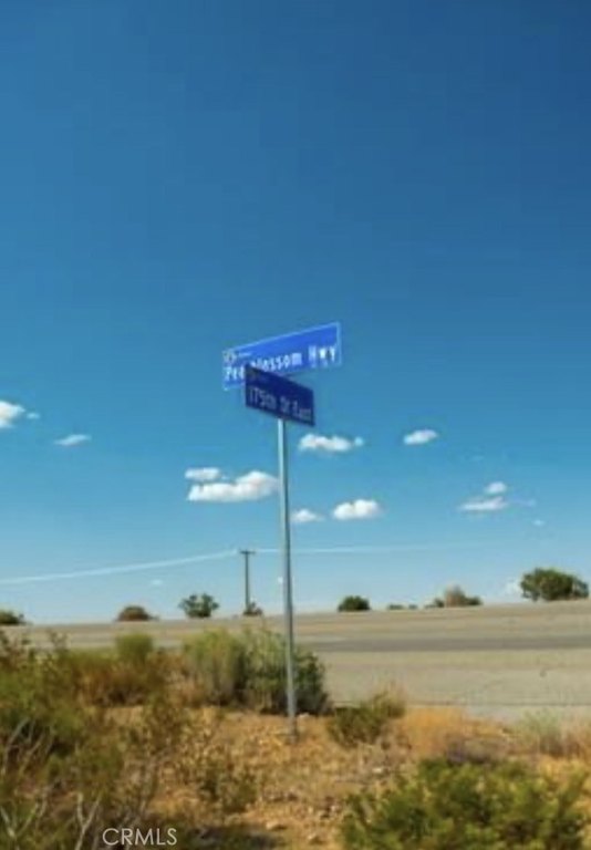 Picture 20