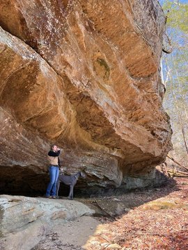 Wooded Lot in Paradise Valley