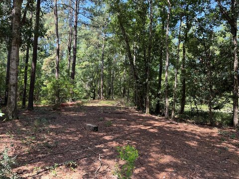 LAND - Picayune, MS