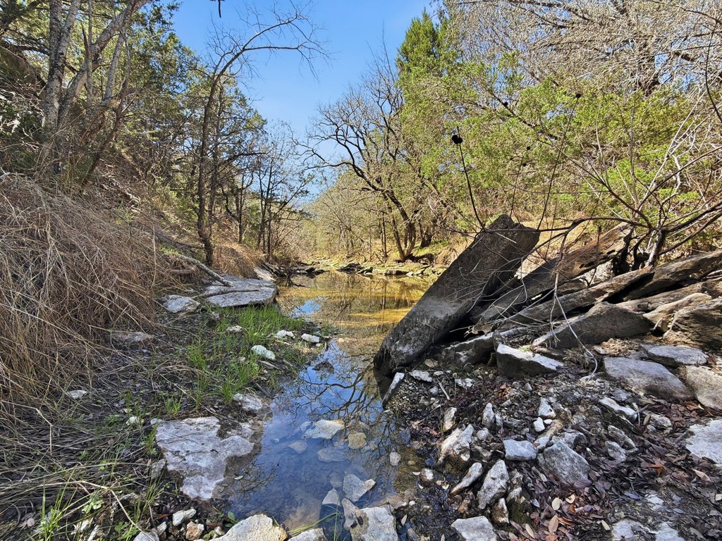 Picture 10