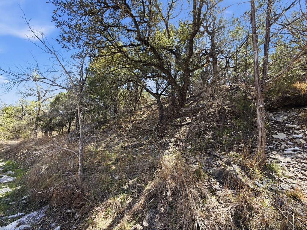 Picture 11