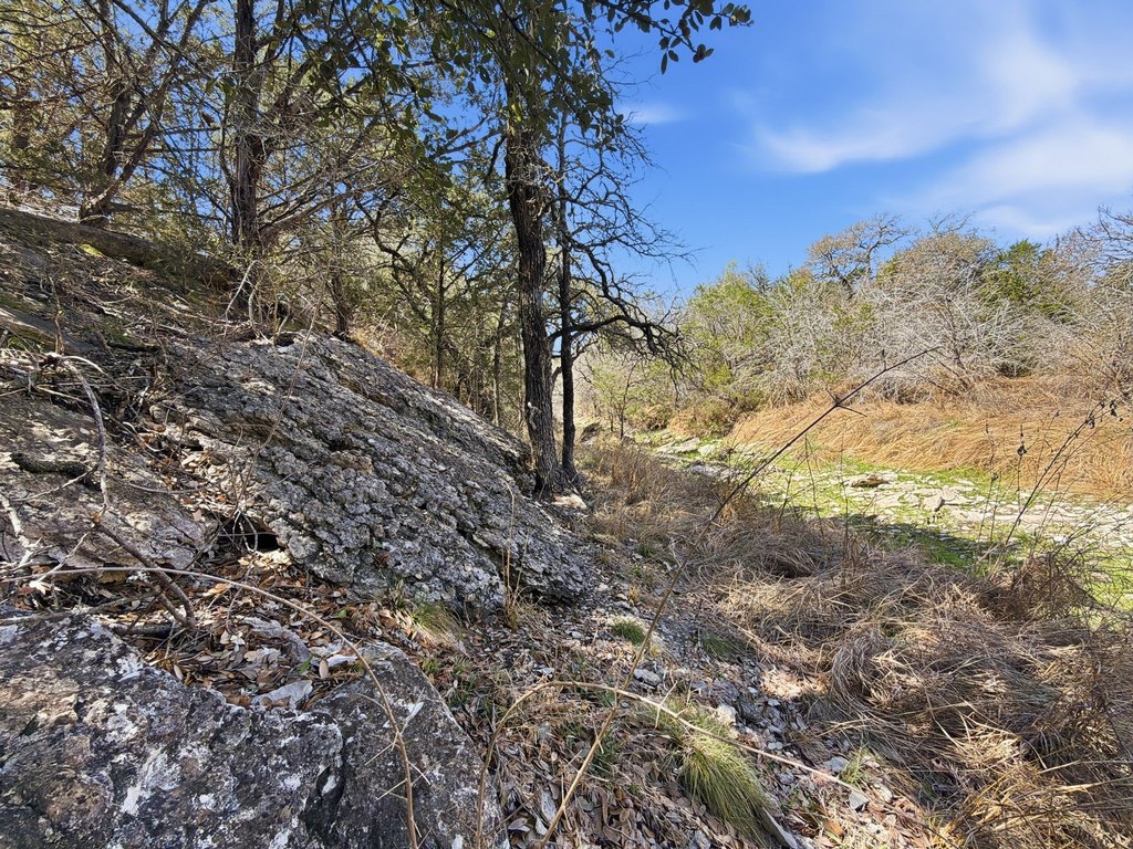 Picture 13