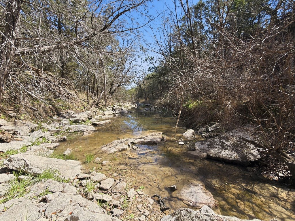 Picture 8