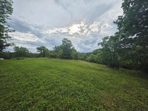Undeveloped Land Near Harrodsburg