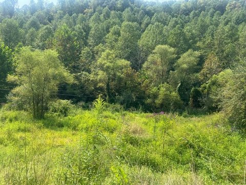Prestonsburg, KY Residential Land