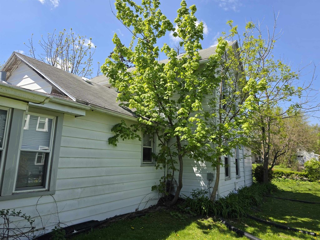 Picture 13