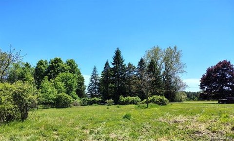 LAND - Otter Lake Vlg, MI