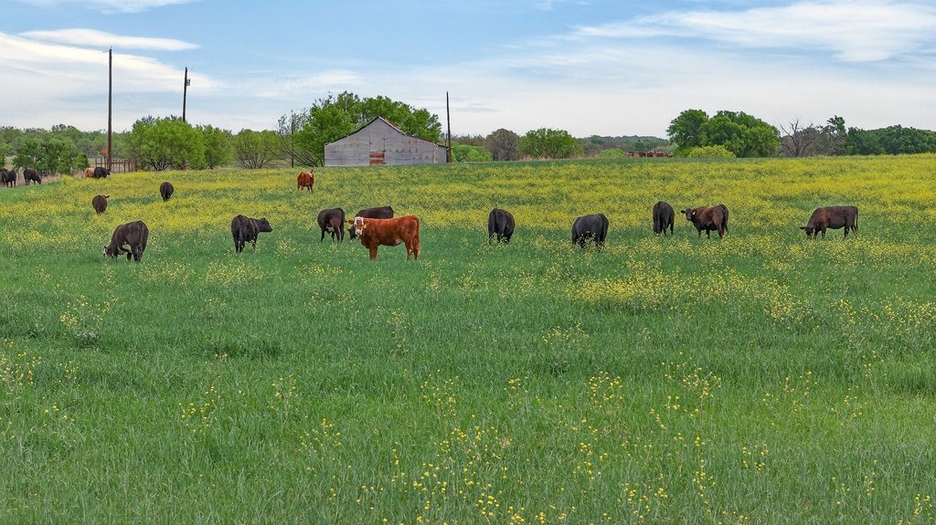 Picture 3