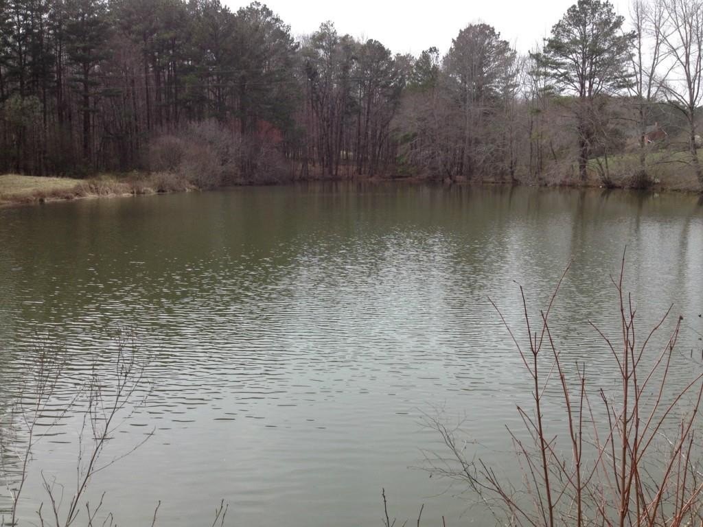 Milton Estate Lot with Potential