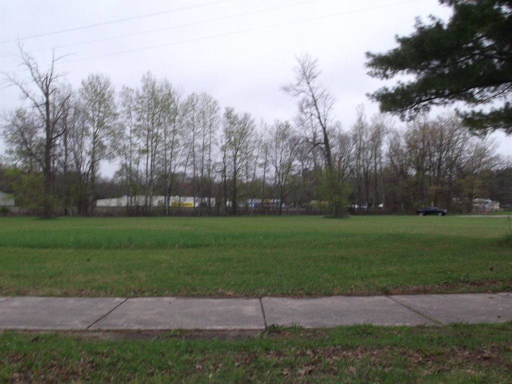 Picture 8
