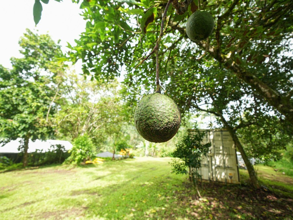 Picture 8