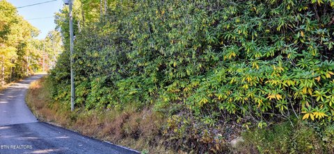 Lots & Acreage, Sevierville, TN