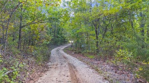 80 Acres Untamed Potential in Missouri