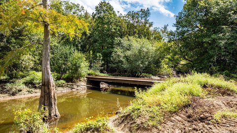 246 Acres Hunting Paradise