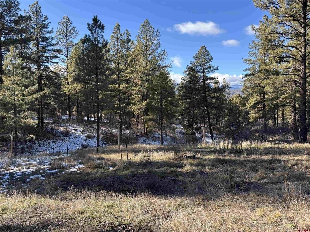 Land in Pagosa Springs, CO