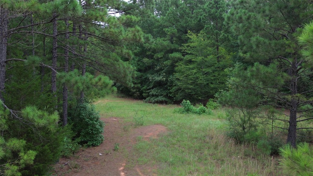 Picture 14