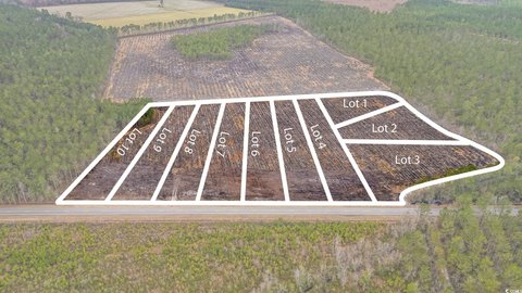 Cleared Land in Galivants Ferry