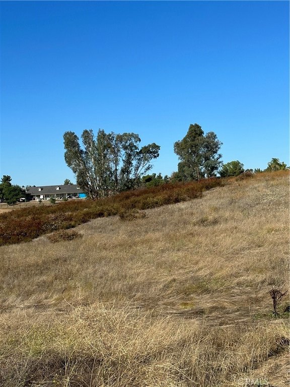 Picture 10