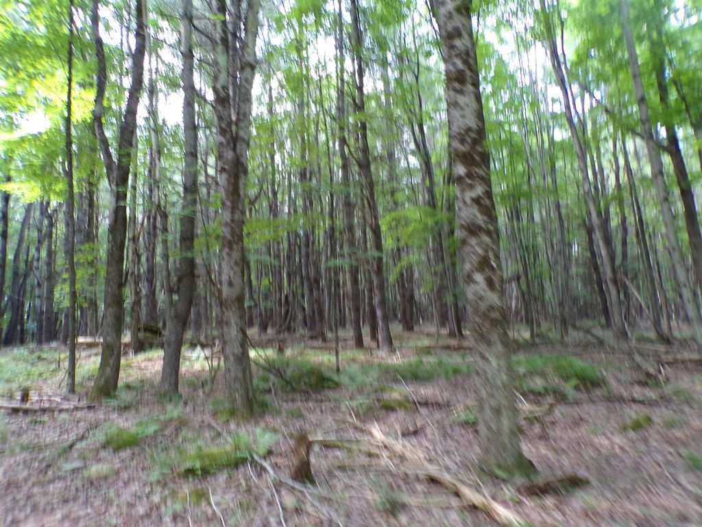 Picture 6
