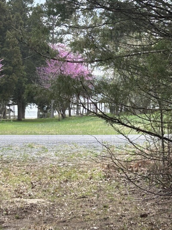 Picture 2