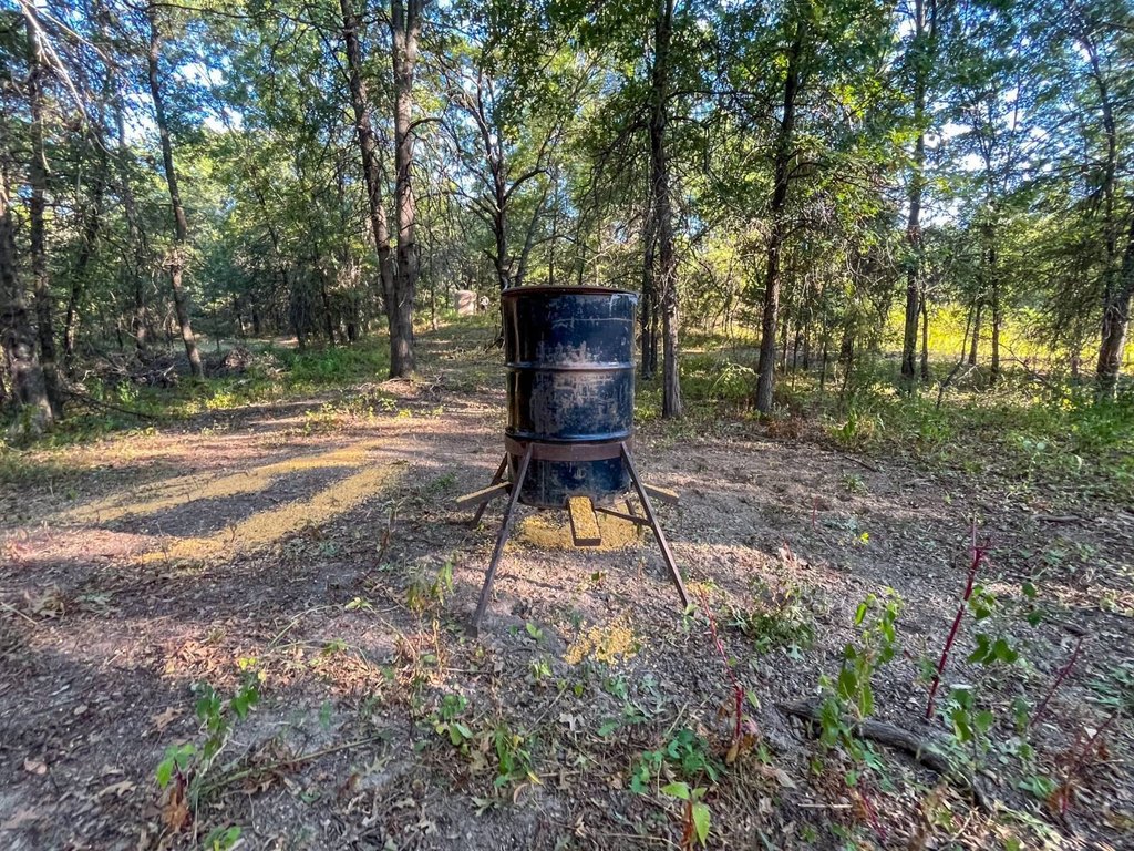 Picture 23