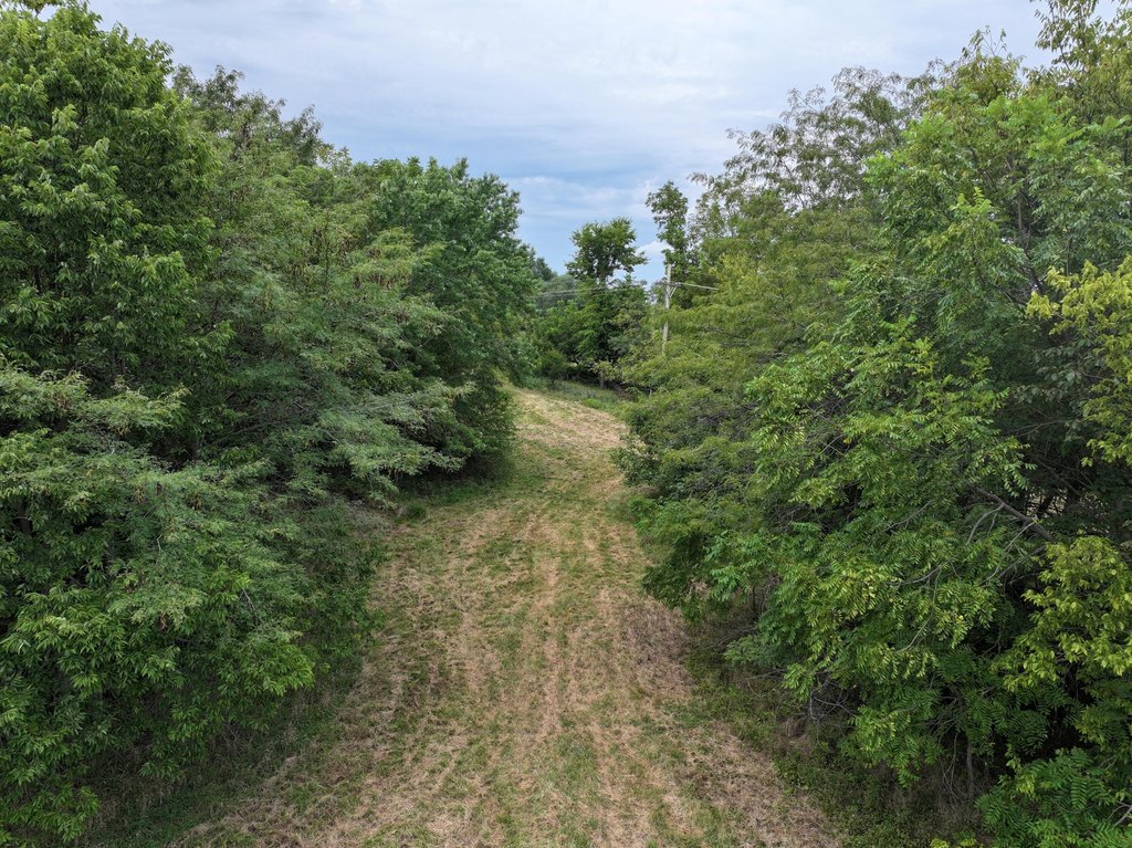 Picture 9