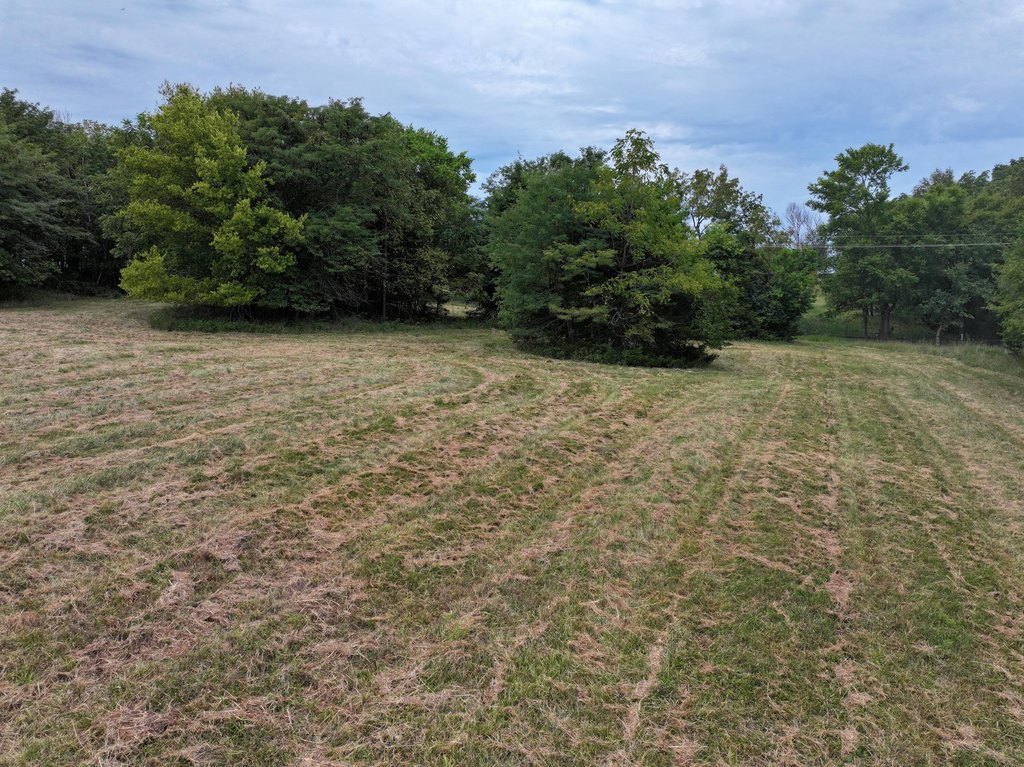 Picture 8