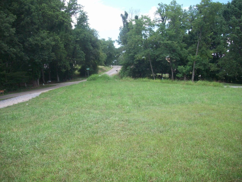 Picture 2