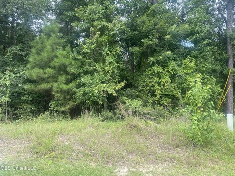 Diamondhead Vacant Lot For Sale
