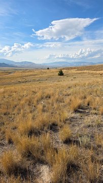 5 Acres Near Fairmont Hot Springs