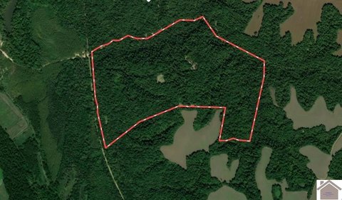 Recreational Hunting Land Tract