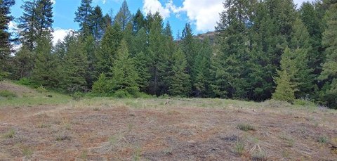 LAND - REPUBLIC, WA