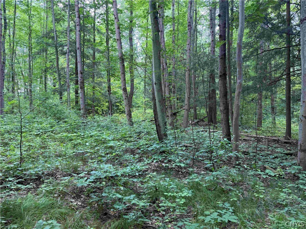 Picture 16