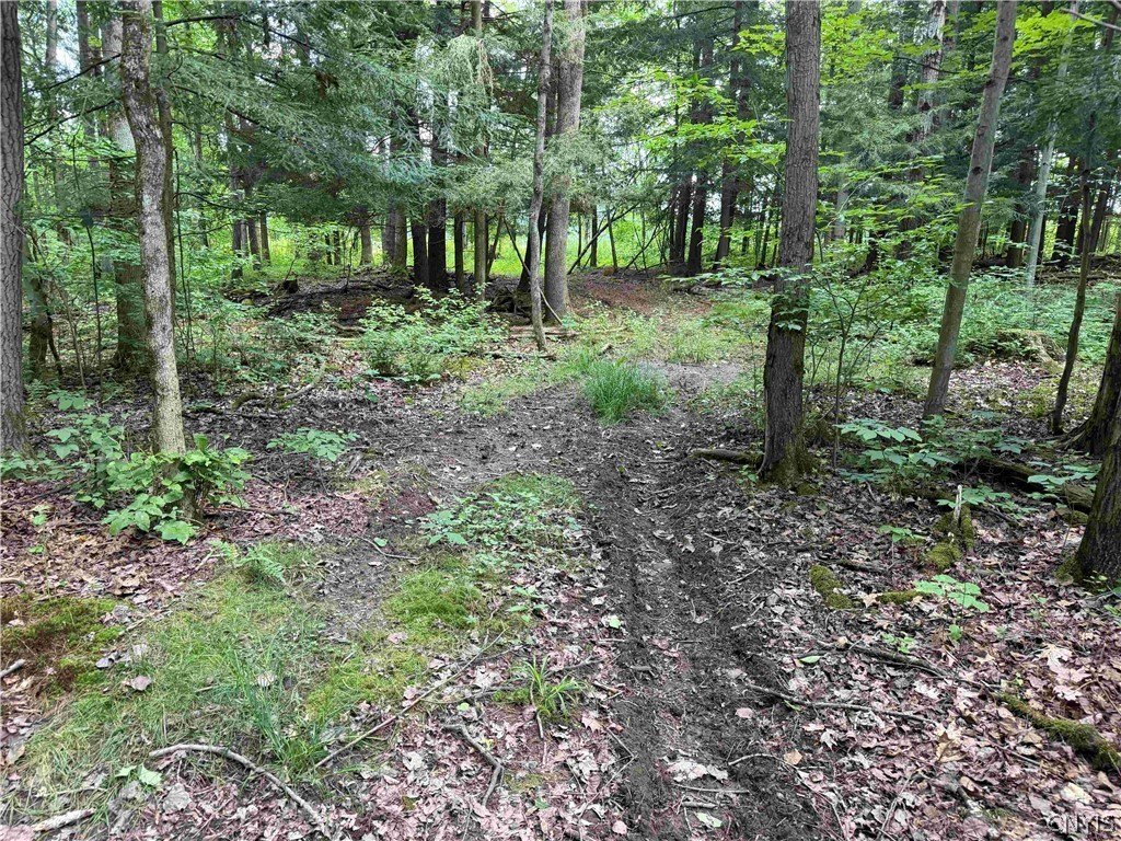 Picture 14