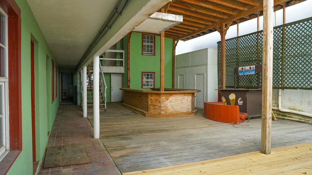 Picture 8