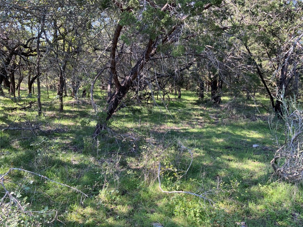 Picture 29