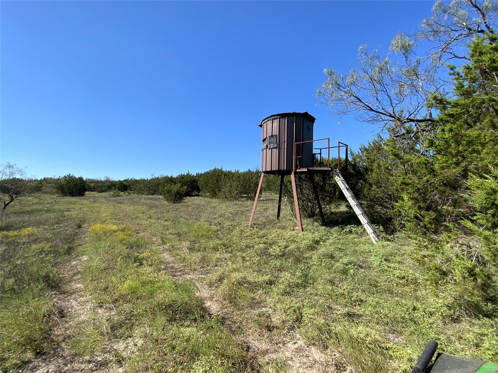 Picture 25