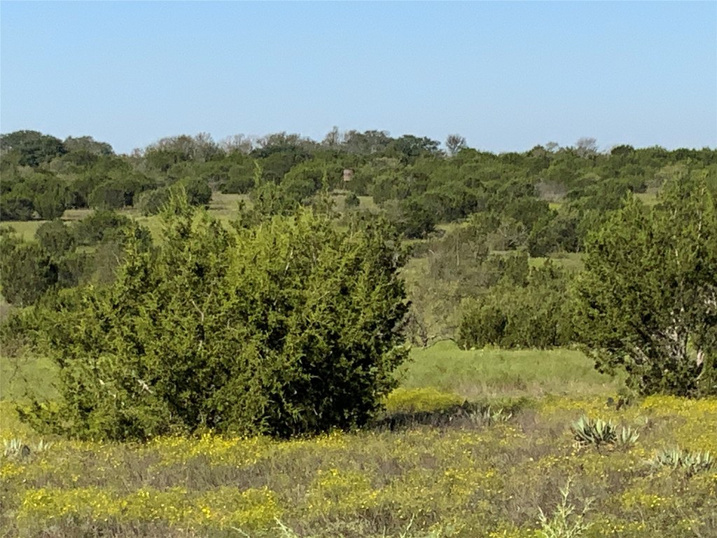 Picture 22