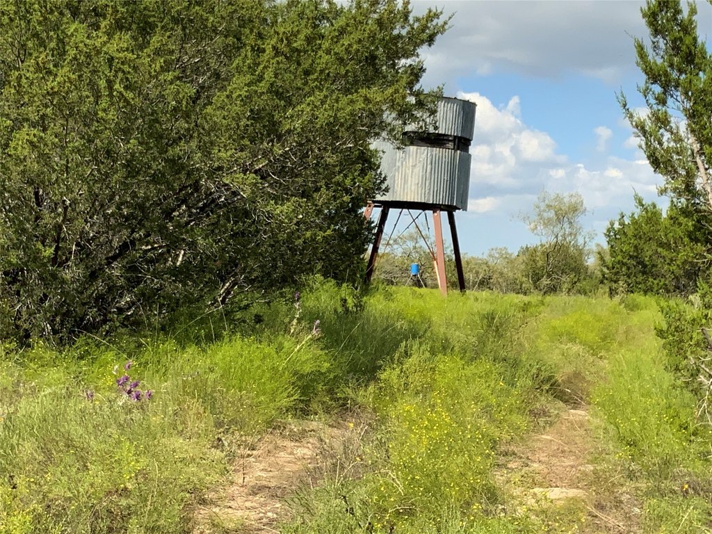 Picture 30