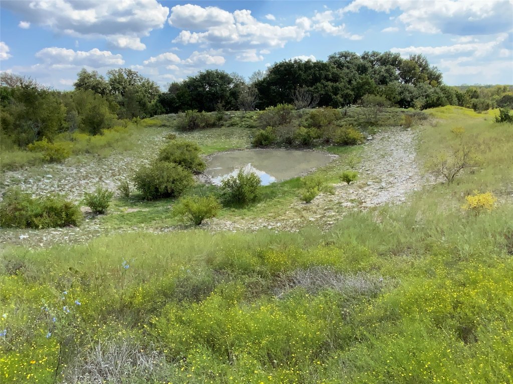 Picture 31