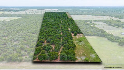 20 Acres of Texas Land