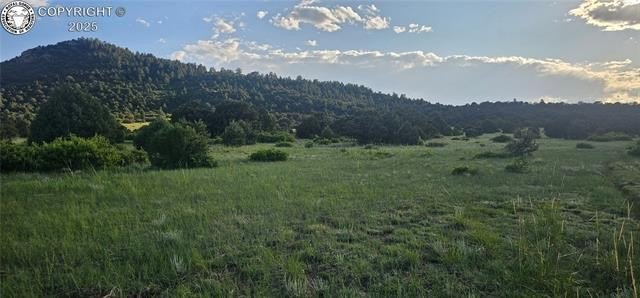Picture 22