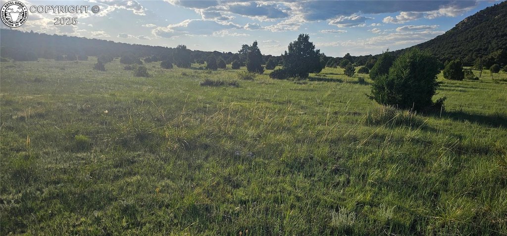 Picture 41