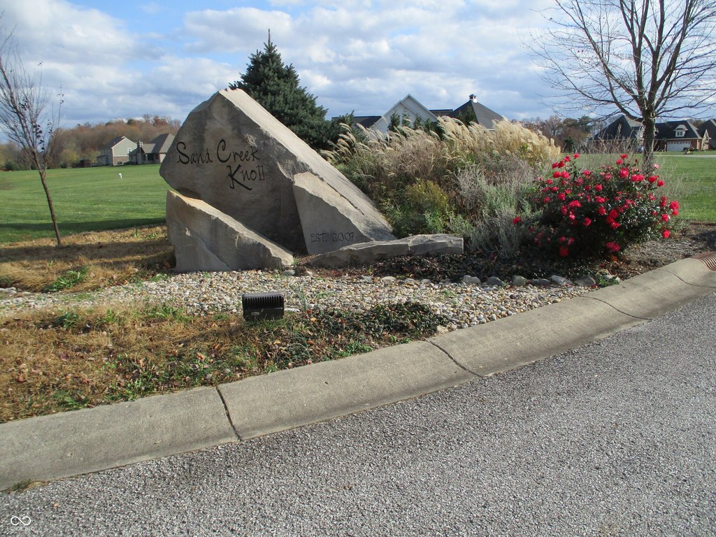 Picture 23