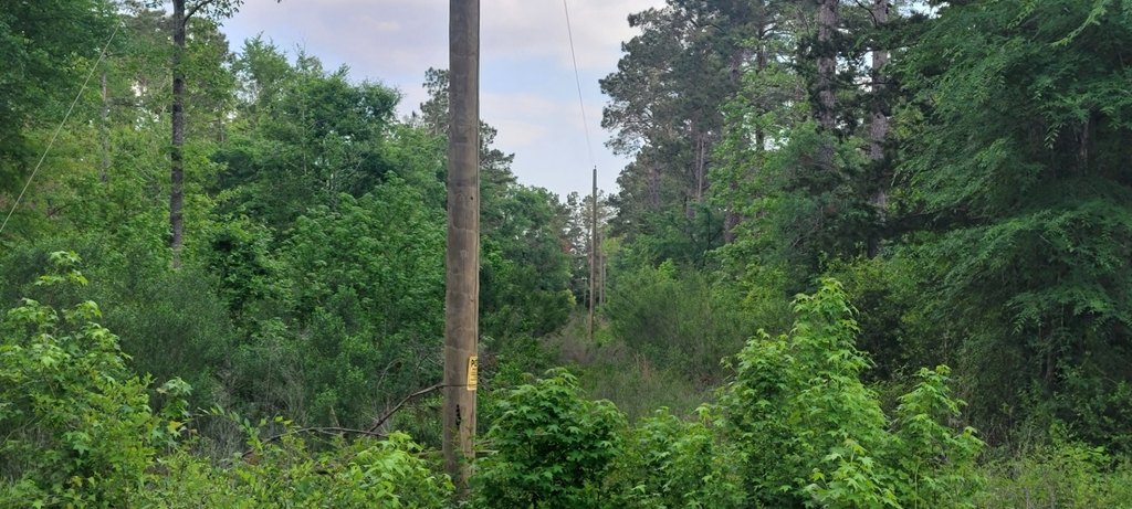 Picture 8