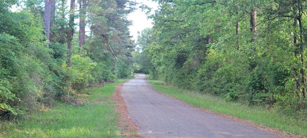 Picture 4