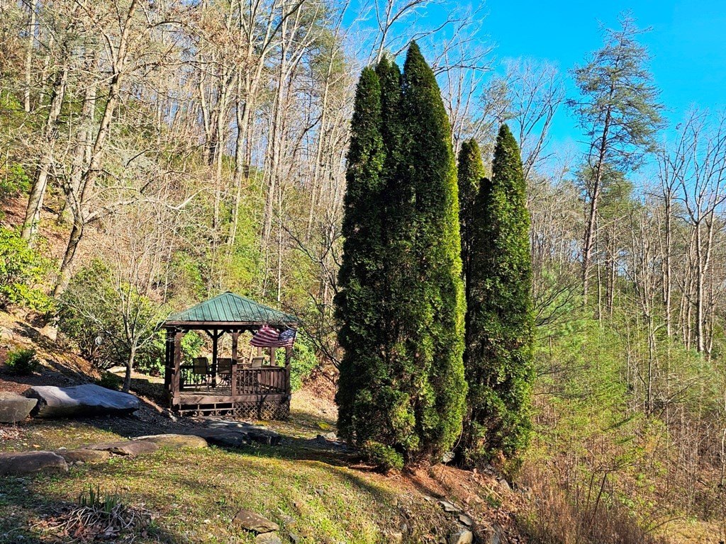 Picture 21