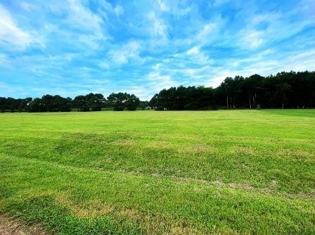 Parksley Waterfront Land For Sale